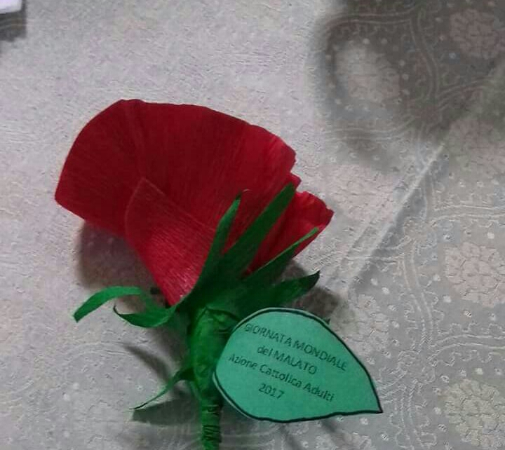 IMG-20170310-WA0055-1