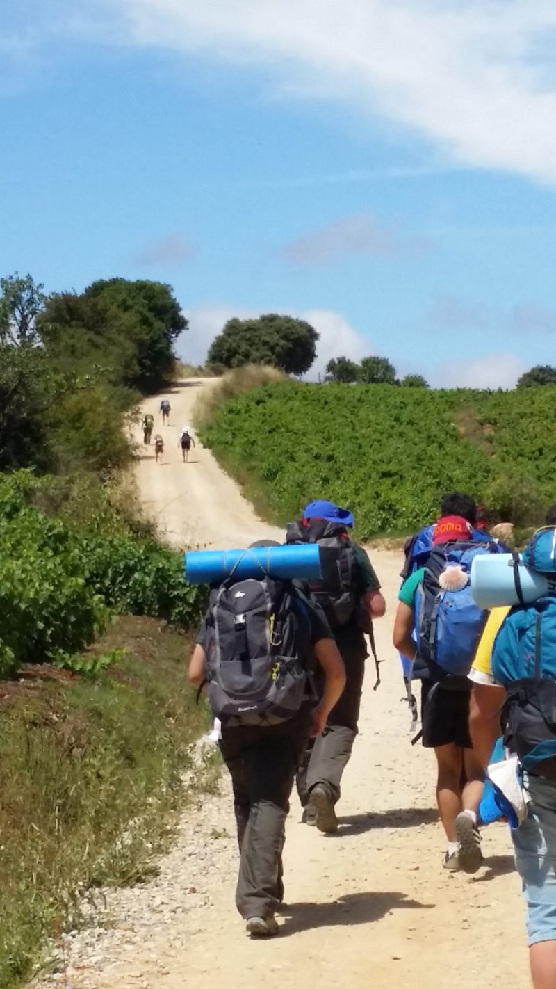 PAG. 6 Missione Giovani