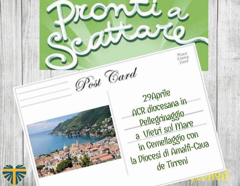 30265359 1771750062909164 6189415067470004224 n